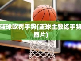 篮球吹罚手势(篮球主教练手势图片)