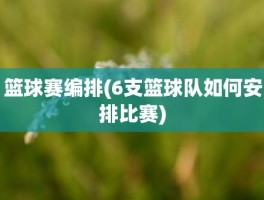 篮球赛编排(6支篮球队如何安排比赛)