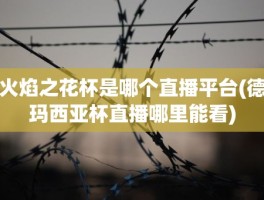 火焰之花杯是哪个直播平台(德玛西亚杯直播哪里能看)