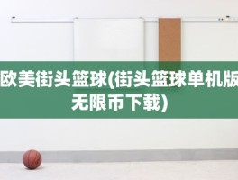 欧美街头篮球(街头篮球单机版无限币下载)