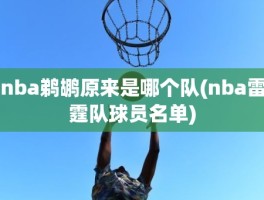 nba鹈鹕原来是哪个队(nba雷霆队球员名单)