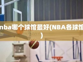 nba哪个球馆最好(NBA各球馆)