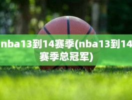 nba13到14赛季(nba13到14赛季总冠军)