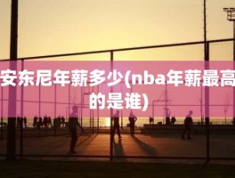 安东尼年薪多少(nba年薪最高的是谁)