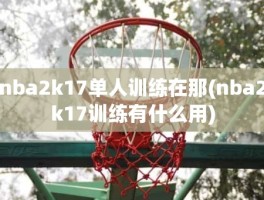 nba2k17单人训练在那(nba2k17训练有什么用)