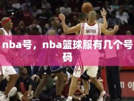 nba号，nba篮球服有几个号码