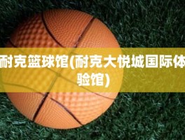 耐克篮球馆(耐克大悦城国际体验馆)