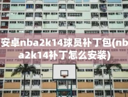 安卓nba2k14球员补丁包(nba2k14补丁怎么安装)