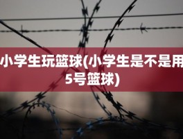 小学生玩篮球(小学生是不是用5号篮球)