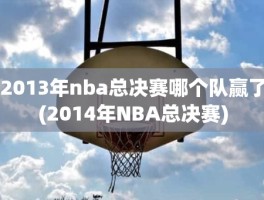 2013年nba总决赛哪个队赢了(2014年NBA总决赛)