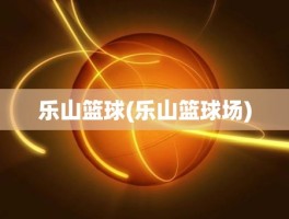 乐山篮球(乐山篮球场)