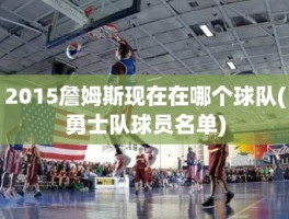 2015詹姆斯现在在哪个球队(勇士队球员名单)