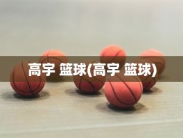 高宇 篮球(高宇 篮球)