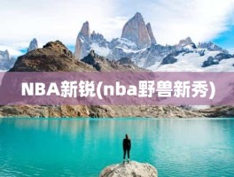 NBA新锐(nba野兽新秀)