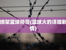 绑架篮球帅哥(篮球火的详细剧情)