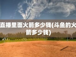 直播里面火箭多少钱(斗鱼的火箭多少钱)