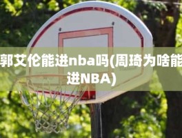 郭艾伦能进nba吗(周琦为啥能进NBA)