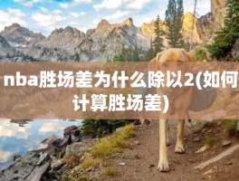 nba胜场差为什么除以2(如何计算胜场差)
