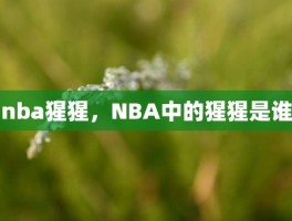 nba猩猩，NBA中的猩猩是谁