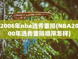 2006年nba选秀重排(NBA2000年选秀重排顺序怎样)