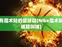 有魔术贴的篮球鞋(Nike魔术贴板鞋叫啥)