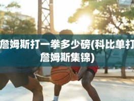 詹姆斯打一拳多少磅(科比单打詹姆斯集锦)