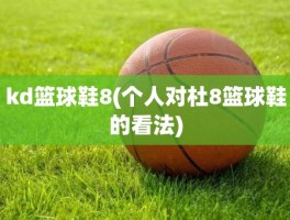 kd篮球鞋8(个人对杜8篮球鞋的看法)