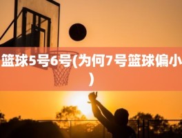 篮球5号6号(为何7号篮球偏小)