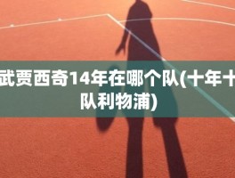 武贾西奇14年在哪个队(十年十队利物浦)