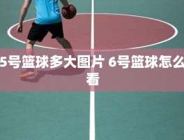 5号篮球多大图片 6号篮球怎么看