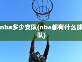 nba多少支队(nba都有什么球队)
