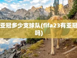 亚冠多少支球队(fifa23有亚冠吗)