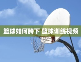 篮球如何胯下 篮球训练视频