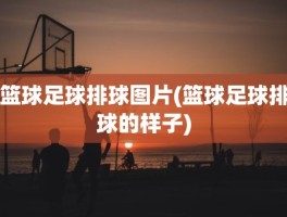 篮球足球排球图片(篮球足球排球的样子)