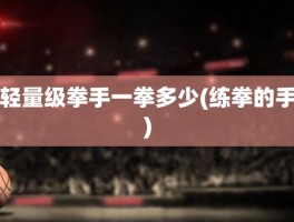 轻量级拳手一拳多少(练拳的手)