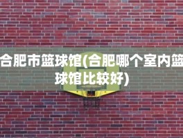 合肥市篮球馆(合肥哪个室内篮球馆比较好)