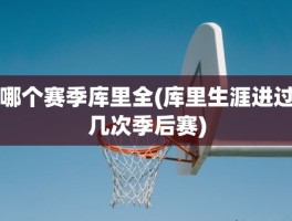 哪个赛季库里全(库里生涯进过几次季后赛)