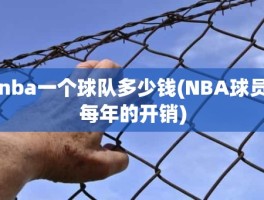 nba一个球队多少钱(NBA球员每年的开销)