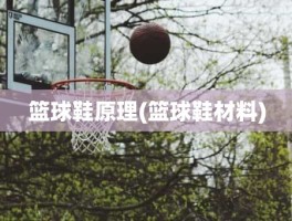 篮球鞋原理(篮球鞋材料)