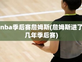 nba季后赛詹姆斯(詹姆斯进了几年季后赛)