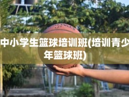 中小学生篮球培训班(培训青少年篮球班)