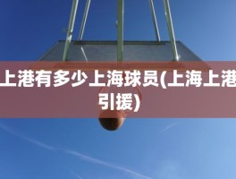 上港有多少上海球员(上海上港引援)