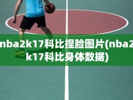 nba2k17科比捏脸图片(nba2k17科比身体数据)