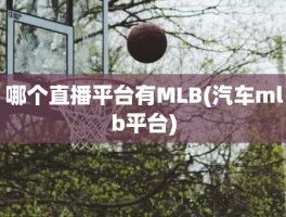 哪个直播平台有MLB(汽车mlb平台)