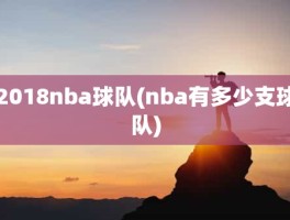 2018nba球队(nba有多少支球队)