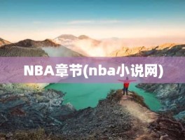 NBA章节(nba小说网)