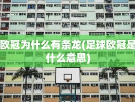 欧冠为什么有条龙(足球欧冠是什么意思)