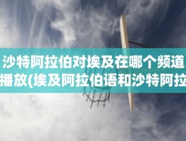 沙特阿拉伯对埃及在哪个频道播放(埃及阿拉伯语和沙特阿拉伯语)