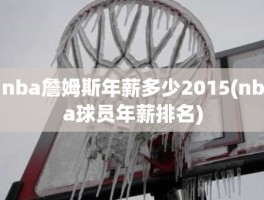 nba詹姆斯年薪多少2015(nba球员年薪排名)