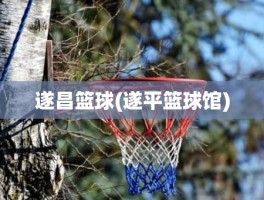 遂昌篮球(遂平篮球馆)